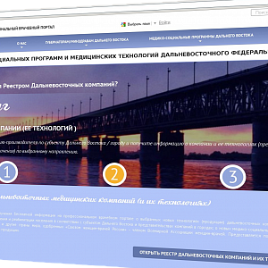 Создается «Первый Реестр медико-социальных программ и медицинских технологий Дальневосточного Федерального округа России».</a>
